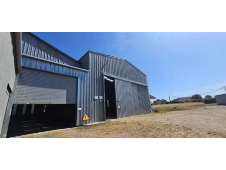 vente locaux professionnels 2080 m² à le pêchereau (36200)  378 000 €