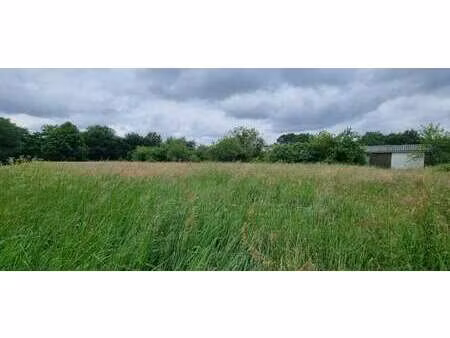 vente terrain piscine à la roche-sur-yon (85000) : à vendre piscine / 3170m² la roche-sur-