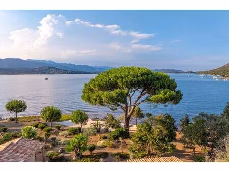 vente villa de luxe porto-vecchio 6 pièces 250 m² <meta name="description" content="dans l