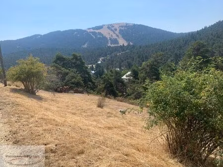 vente terrain 800 m² caille (06750)