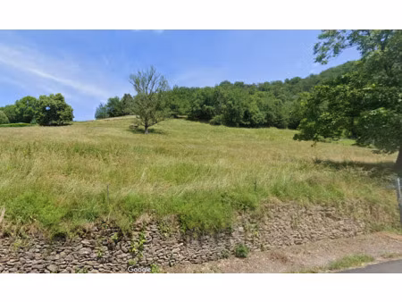 vente terrain 24367 m² estaing (12190)