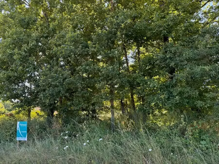 vente terrain  1627.00m²  mur