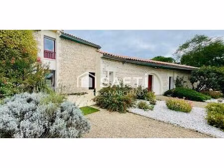 maison contemporaine avec piscine et jardin maillezais (85)