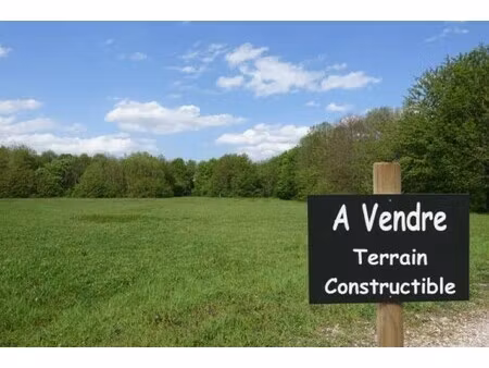 vente terrain