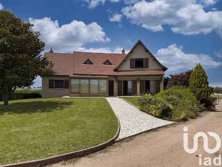 vente maison 7 pièces 252 m² molinet (03510)