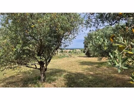 terrains constructibles de 770 et 780 m² a vendre à lagnes