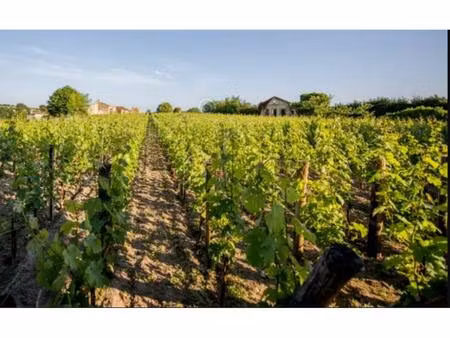 vente terrain saint-sulpice-de-faleyrens 33330 - 828800 € - surface privée