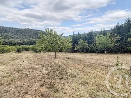 terrain à vendre - 2900 m2 - reynes - 66 - languedoc-roussillon