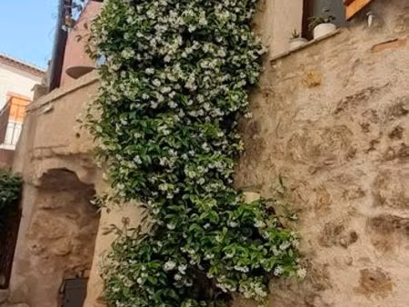 a 7 km de lorgues  maison en pierre avec jardinet avec une grande remise