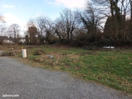 terrain bobital
