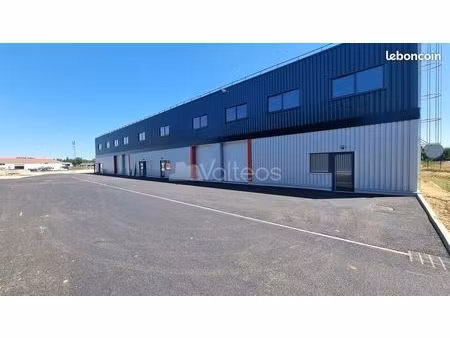 local bureaux 1 650 m²