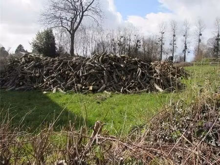 terrain 434 m² cherence le heron