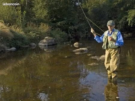 local bar  restaurant 680 m²