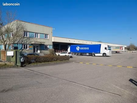 local 3601 m² moulins les metz