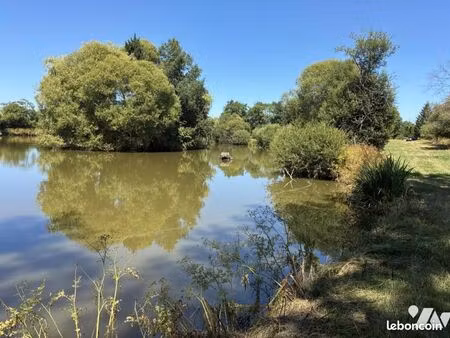 terrain 45728 m² la bazouge des alleux