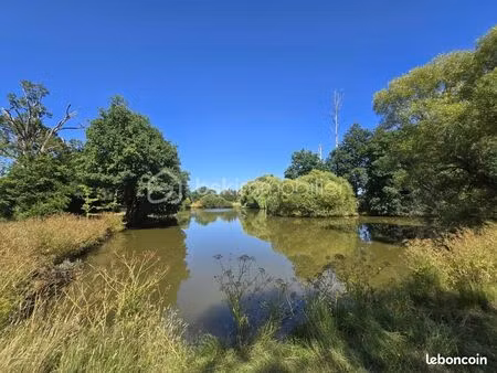 terrain 45 907 m² martigne sur mayenne