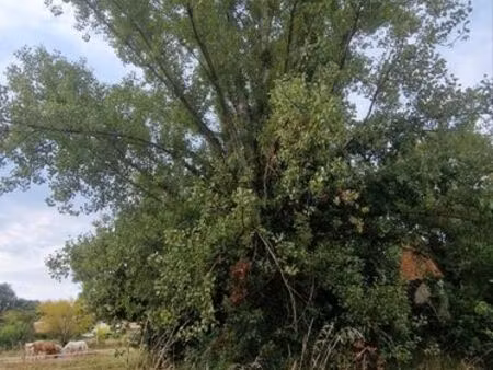 location terrain agricole