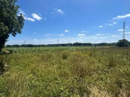 terrain 1 344 m² castetis