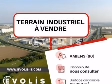 terrain 13 750 m² saint sauveur