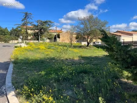 terrain constructible