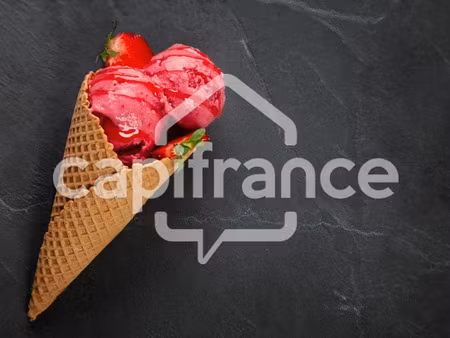 vente locaux professionnels 112 m² à sarlat-la-caneda (24200)  234 000 €