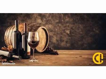 fonds de commerce caviste  restaurant 234 m²