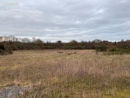 terrain d’activité en za à bâtir 4000 à 12000 m2