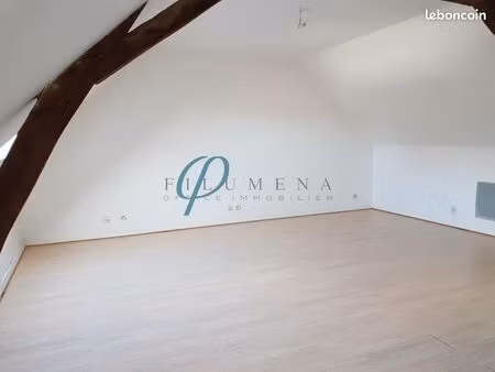 studio 1 pièce 25 m²