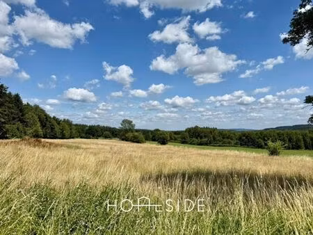 terrain à bâtir à vendre à manhay