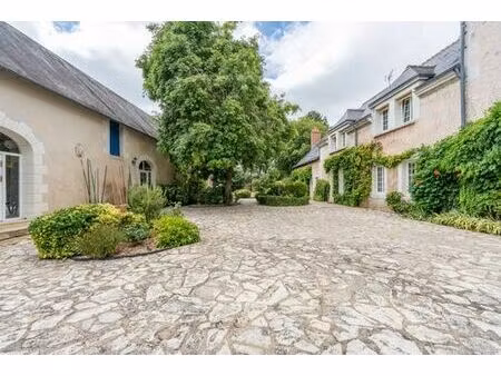 maison de 19 pièces de luxe en vente chançay  france