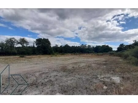 vente commerce 800 m² auray (56400)