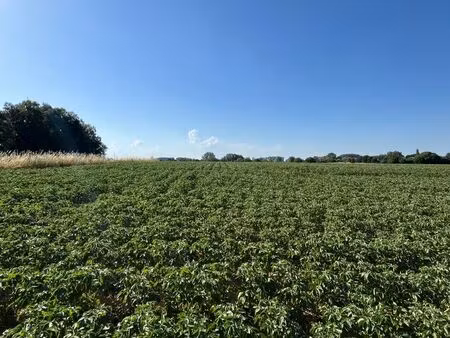 terrain à vendre à lobbes (lot 2)