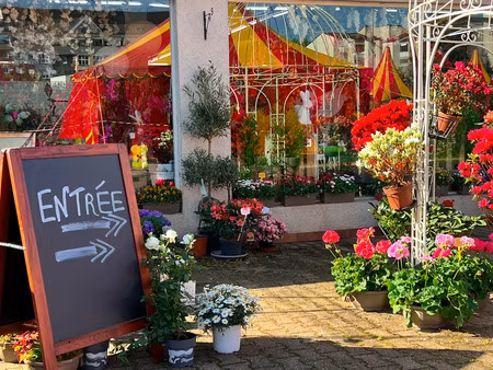 fonds de commerce fleuriste vierzon centre-ville