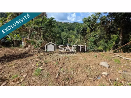 vente terrain 1649 m² à riviere salee (97215)  197 400 €
