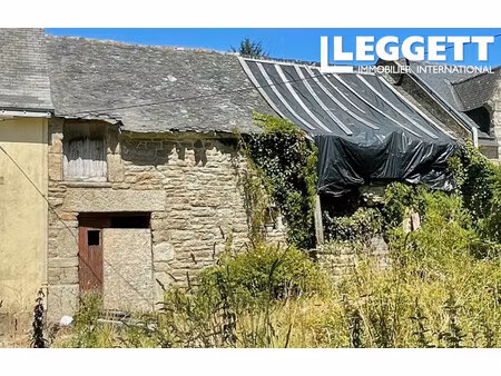 achat immeuble 54m² la vraie croix 56250