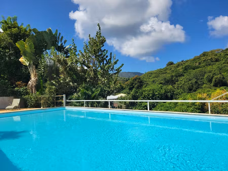 achat immeuble 373m² les trois ilets 97229