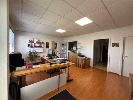 à louer – local professionnel + hangar