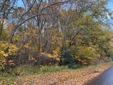 grond te koop in berendrecht