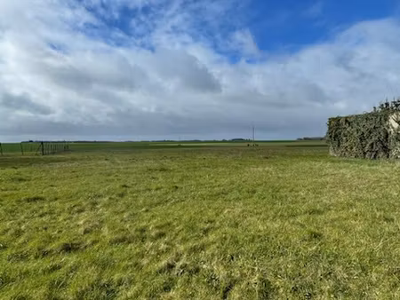 achat terrain 709m² st escobille 91410