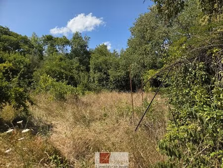 terrain constructible