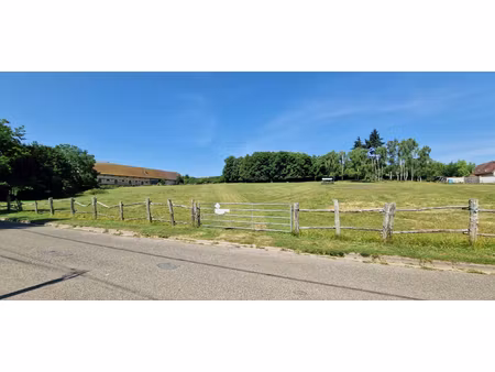 terrain nogent le roi 664 m2