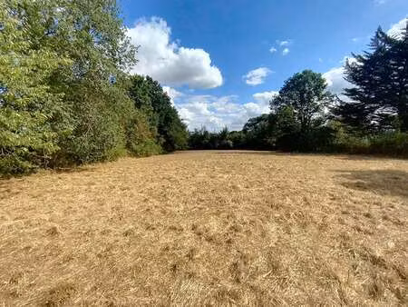 vente terrain à beignon (56380) : à vendre / 1629m² beignon