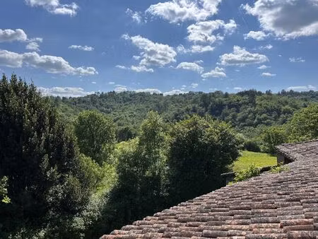 vente maison 11 pièces 120 m² viazac (46100)