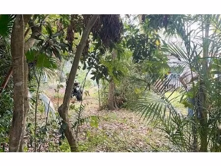 terrain saint-denis m² t- à vendre  399 000 €