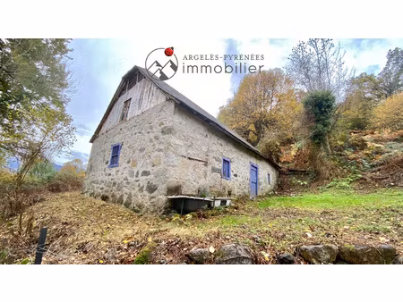 grange à rénover sur plus de 3 hectares proche argeles-gaz