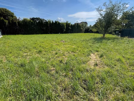 dannemarie : beau terrain plat en impasse