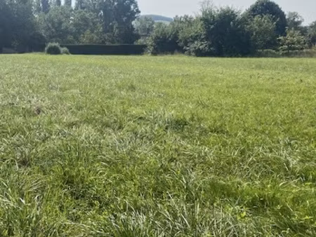 terrain à bâtir de 3981m2 plat et arboré à saint-jean-poutge