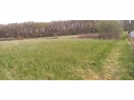 vente terrain 650 m² à noailhac (81490)  24 000 €