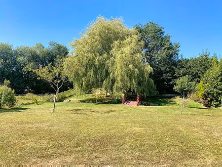 terrain arboré au coeur de noyal-muzillac