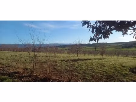 vente terrain 850 m² à cambounet-sur-le-sor (81580)  54 000 €